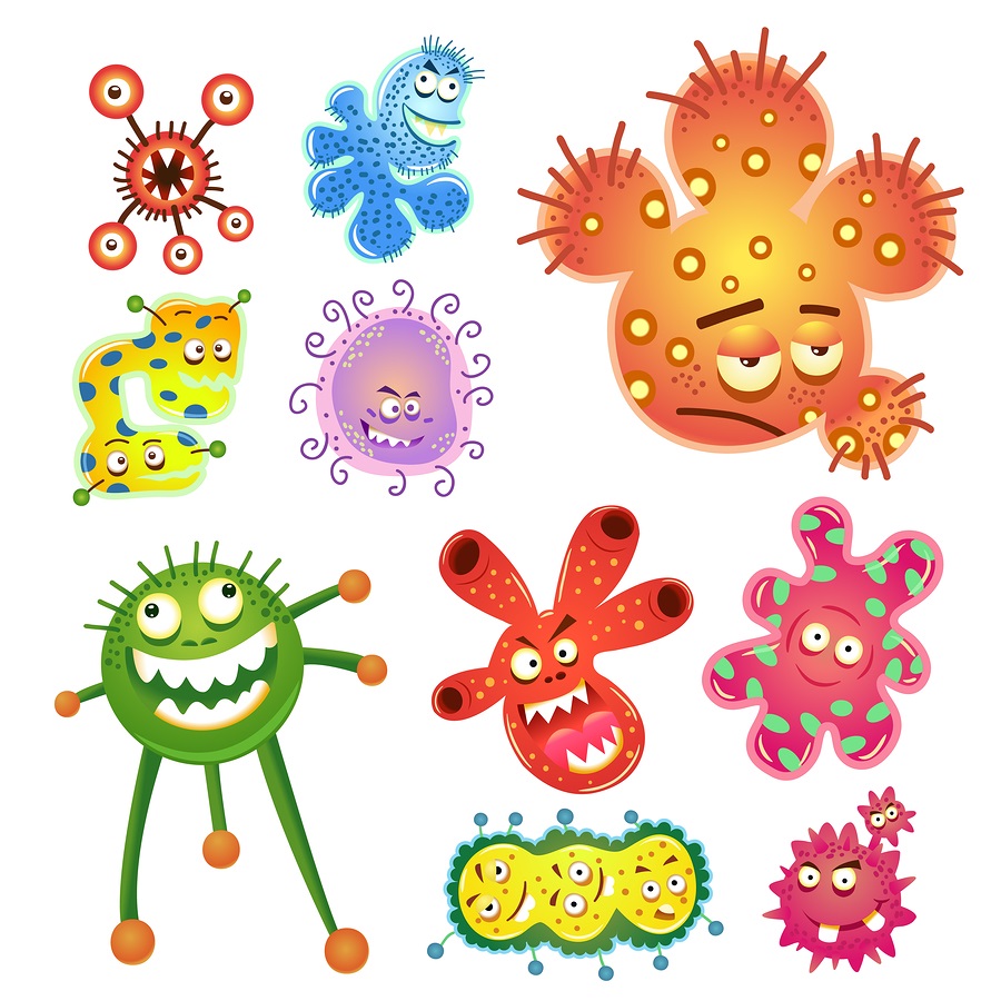 free animated bacteria clipart - photo #36